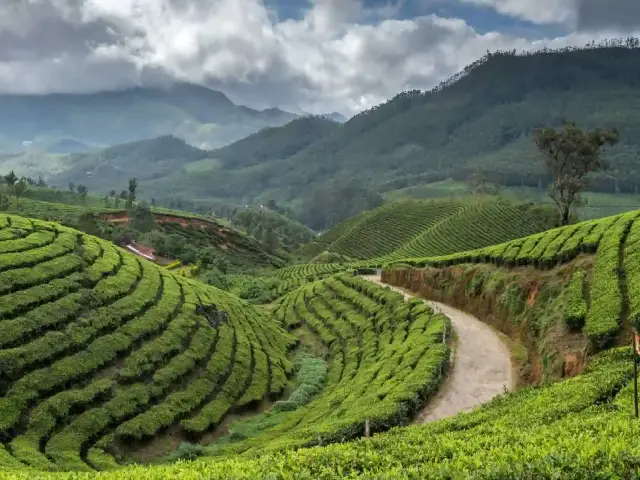 kerala-tour-2