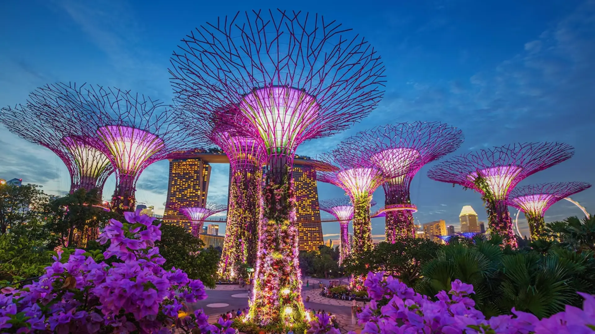 singapore-light-tree
